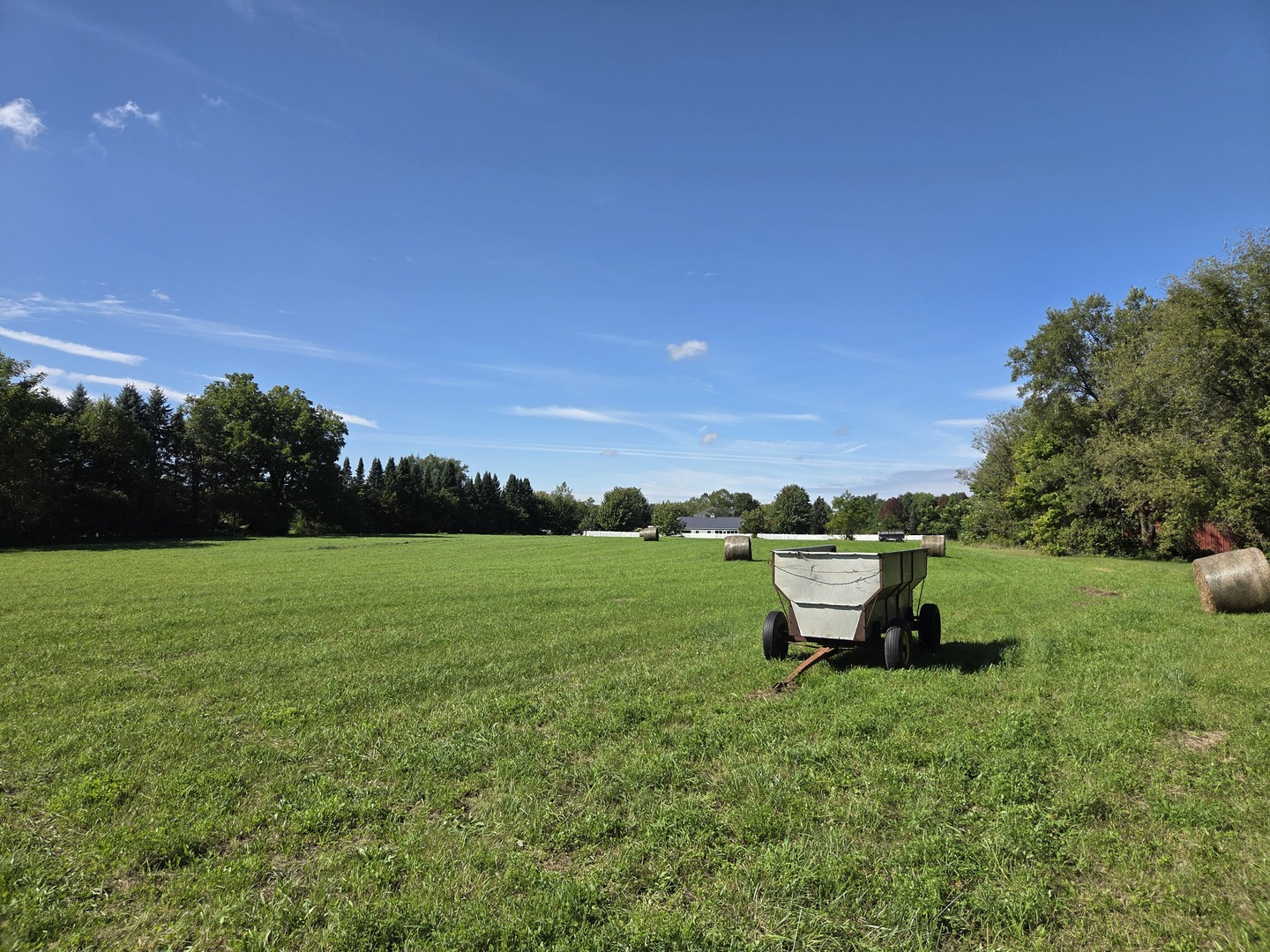 8663 Rote Road Property Photo 7