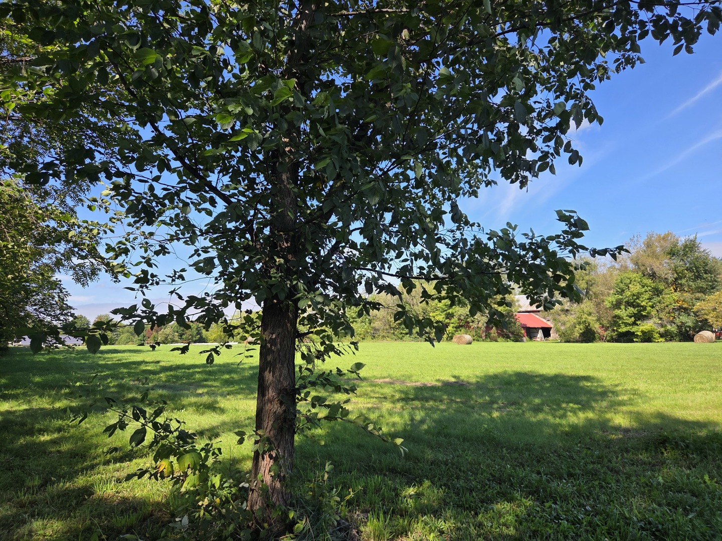 8663 Rote Road Property Photo 10