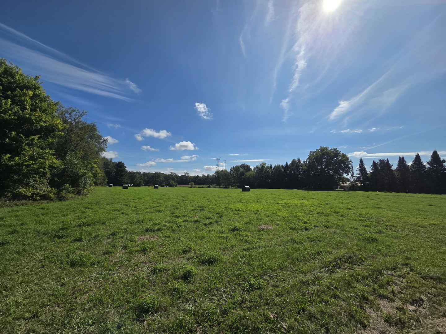 8663 Rote Road Property Photo 15