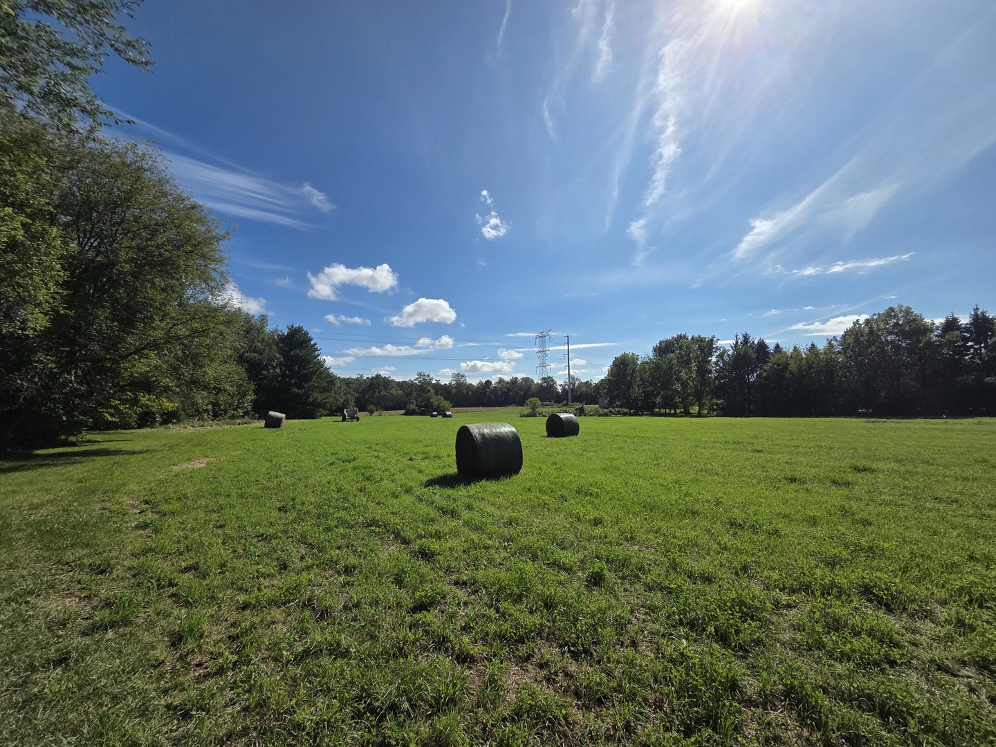 8663 Rote Road Property Photo 18
