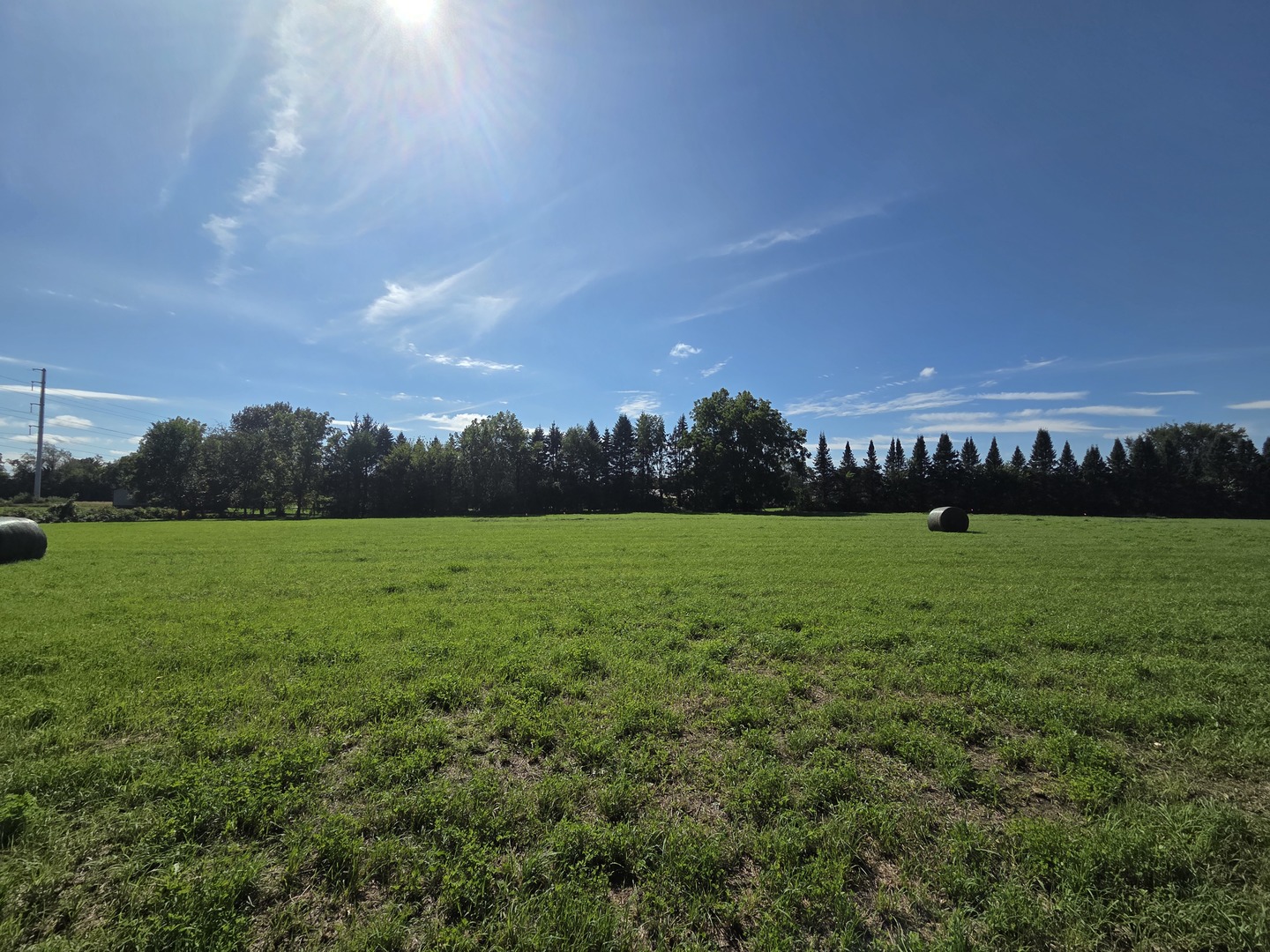 8663 Rote Road Property Photo 19