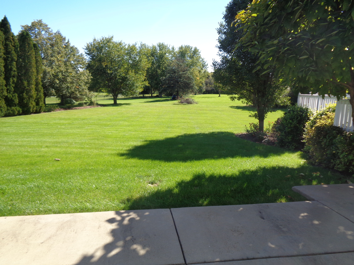 1915 W Cobblestone Lane Property Photo 4