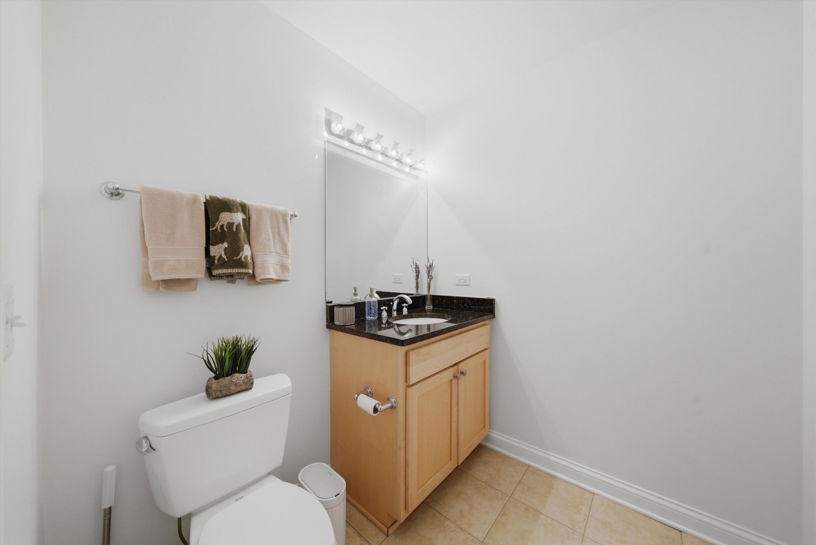 2035 S Indiana Avenue 409 Property Photo 16