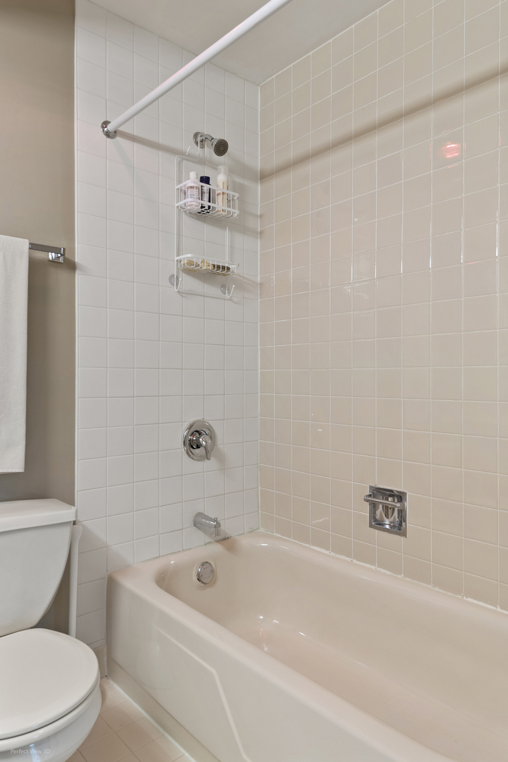 3021 S Michigan Avenue 407 Property Photo 16