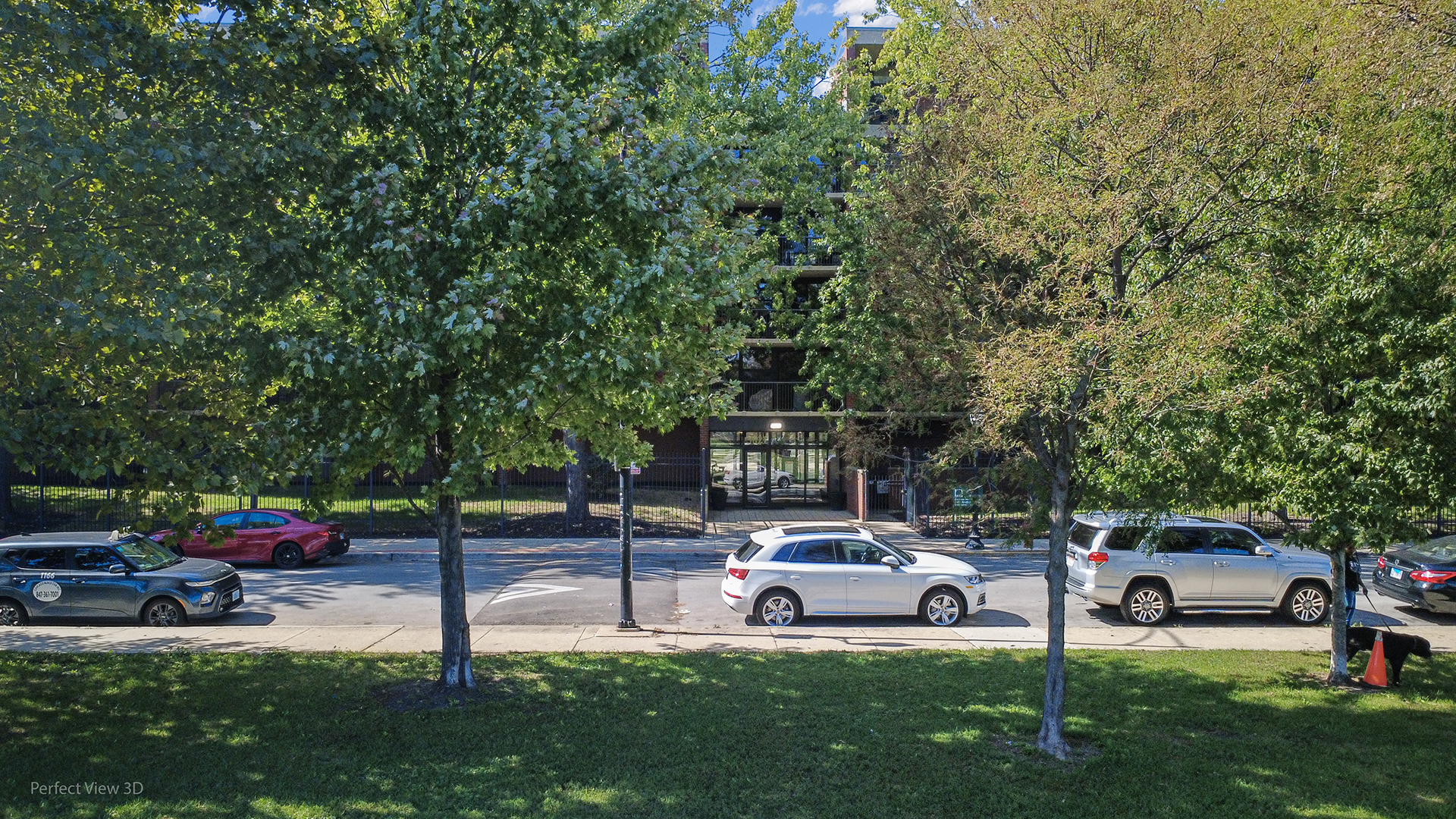 3021 S Michigan Avenue 407 Property Photo 19