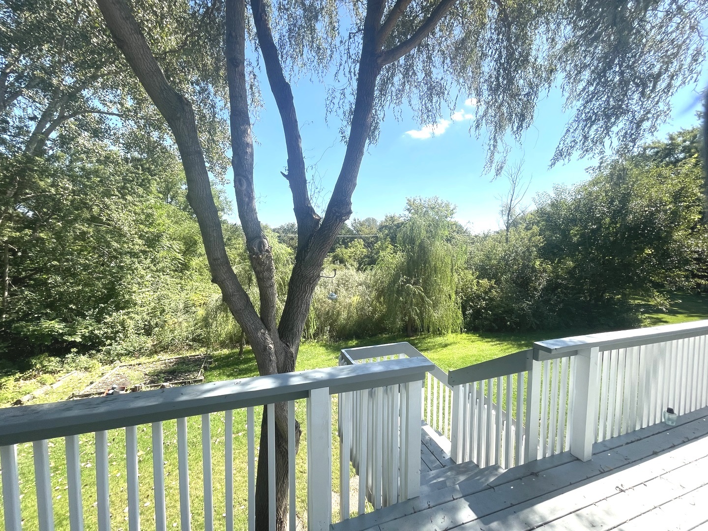 3118 Edgewood Drive Property Photo 19