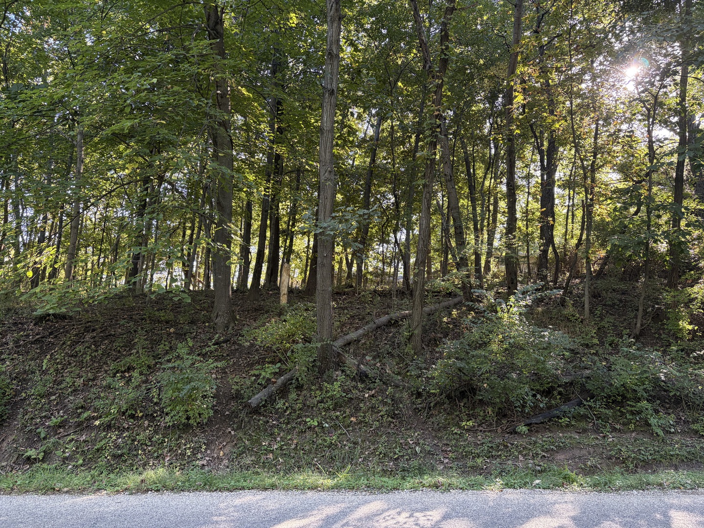1549 Lake Wildwood Drive Property Photo 1