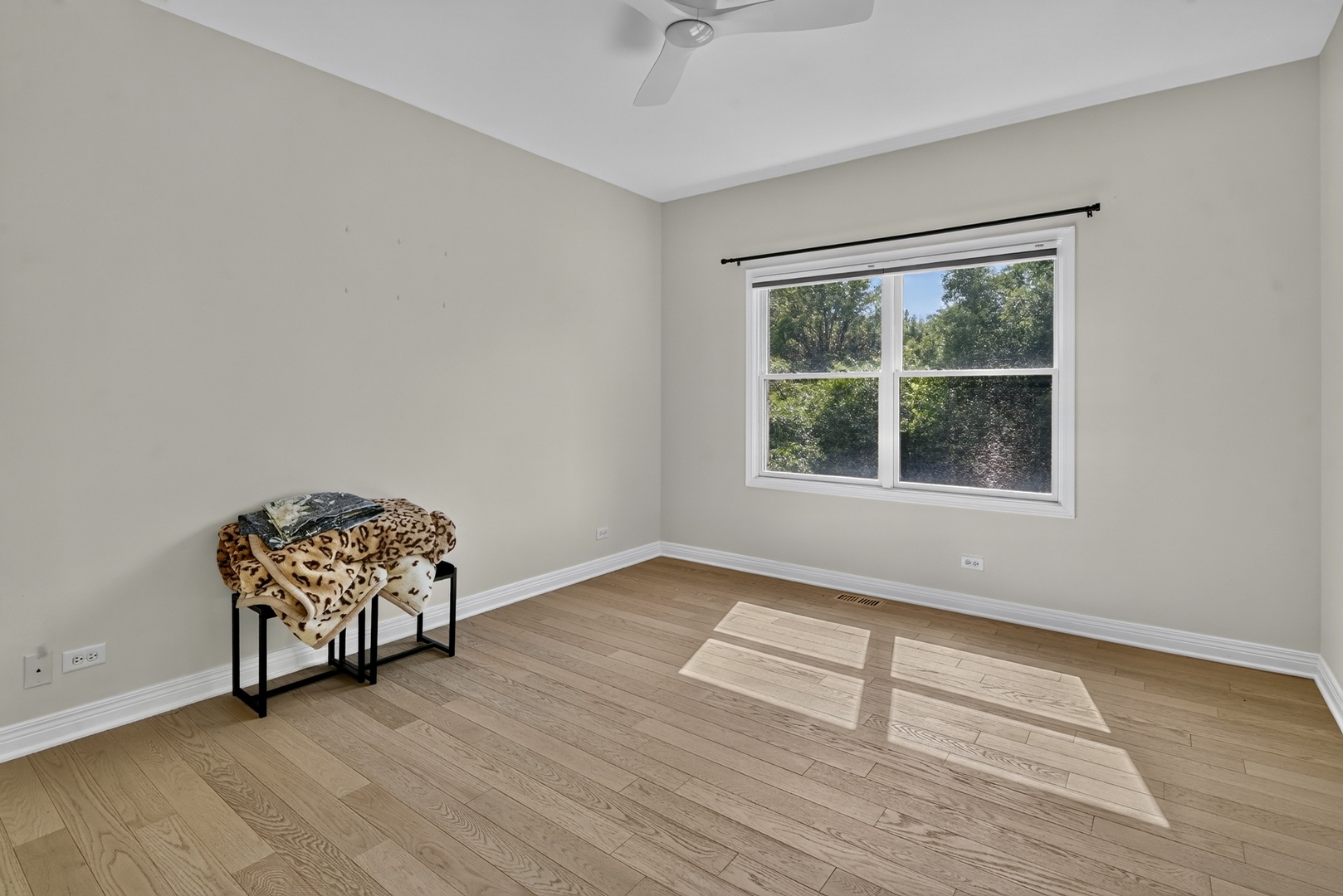 1685 Marion Street Property Photo 61