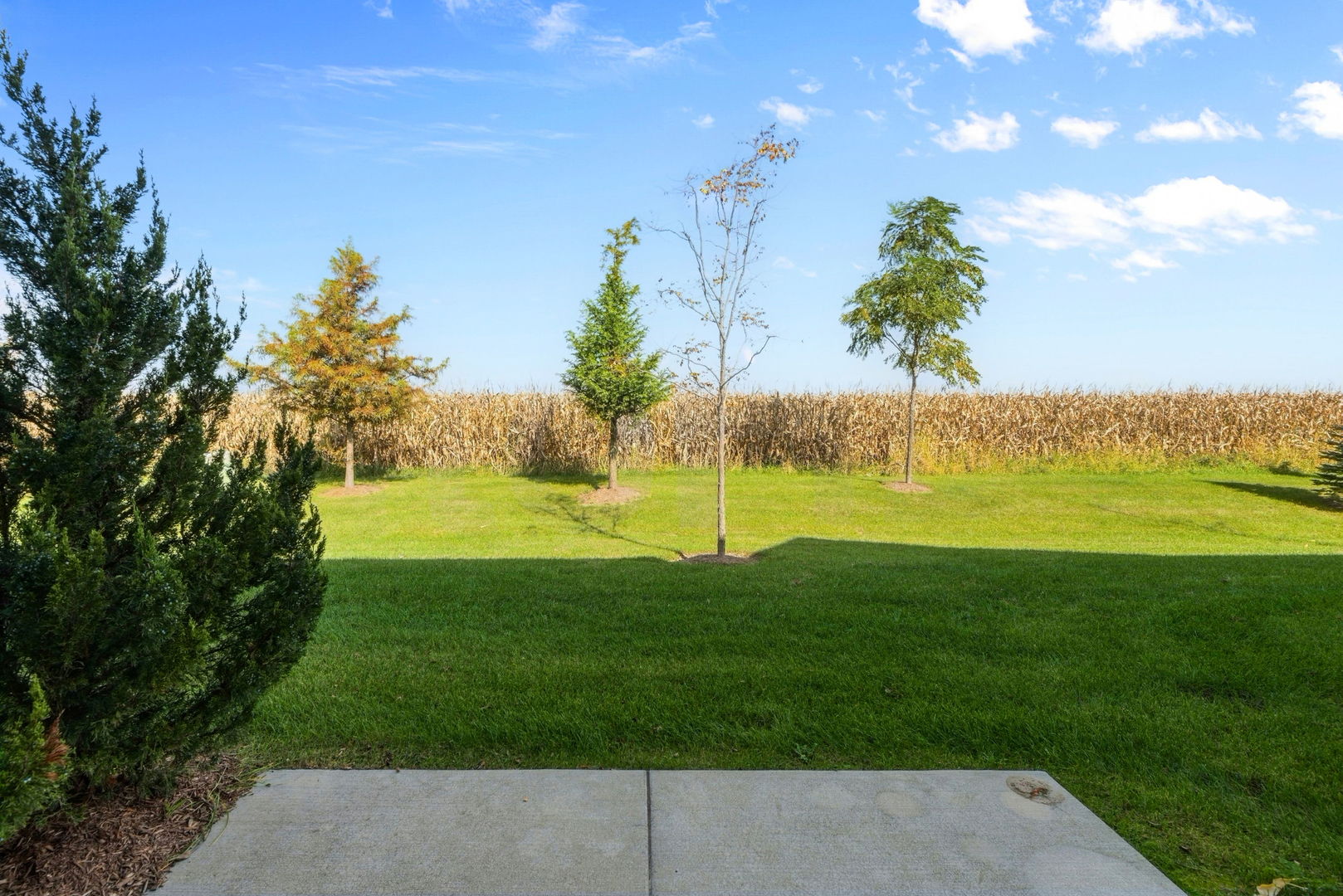 4200 Calder Lane Property Photo 19