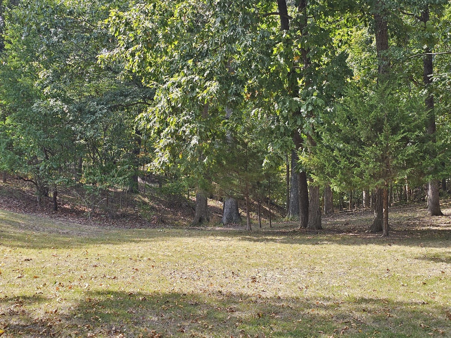 0000 N Dogwood Place Property Photo 3