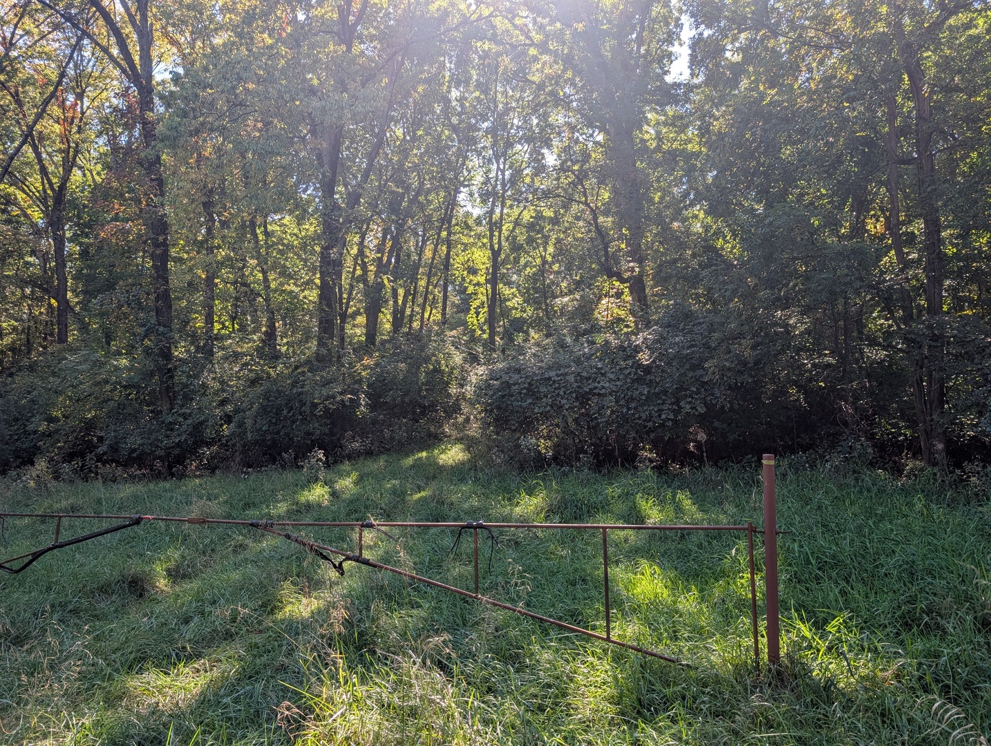 1 Rural Route Road Property Photo 1
