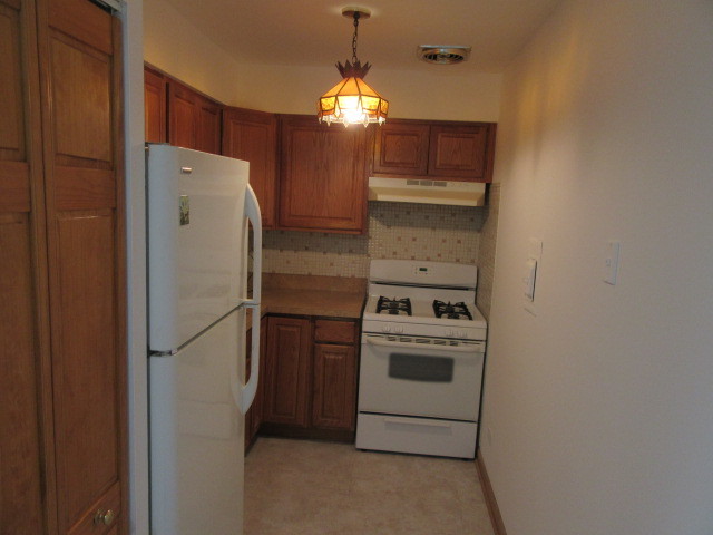 7650 W Altgeld Street 409 Property Photo 8