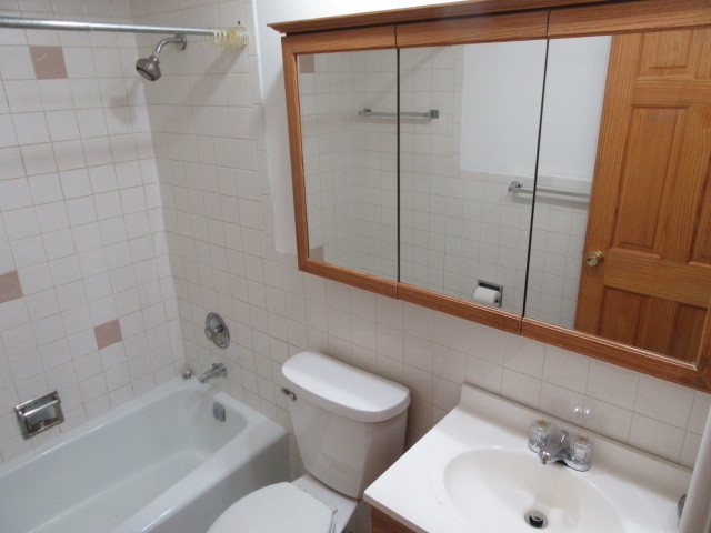 7650 W Altgeld Street 409 Property Photo 11