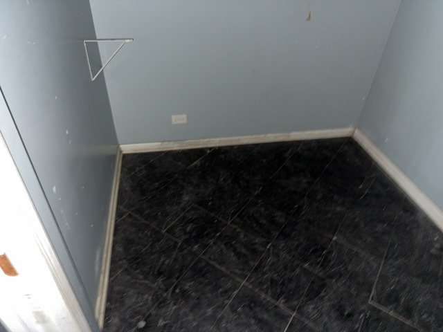 852 E 88th Street Property Photo 35