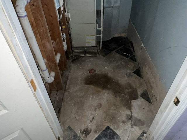 852 E 88th Street Property Photo 37