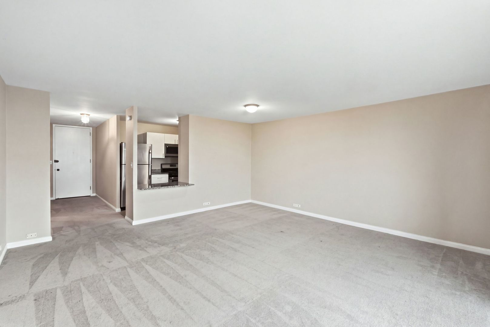 3001 S Michigan Avenue 809 Property Photo 2