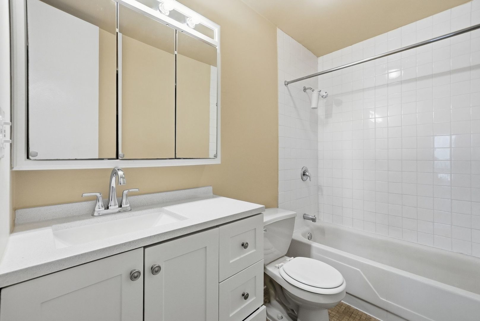 3001 S Michigan Avenue 809 Property Photo 8