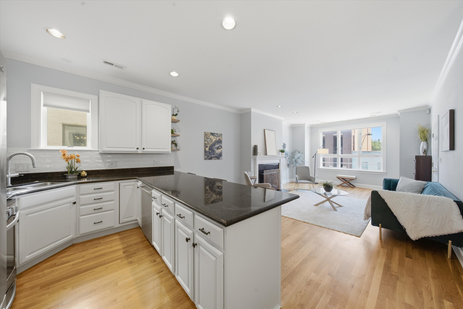 2842 N Halsted Street 3n Property Photo 6