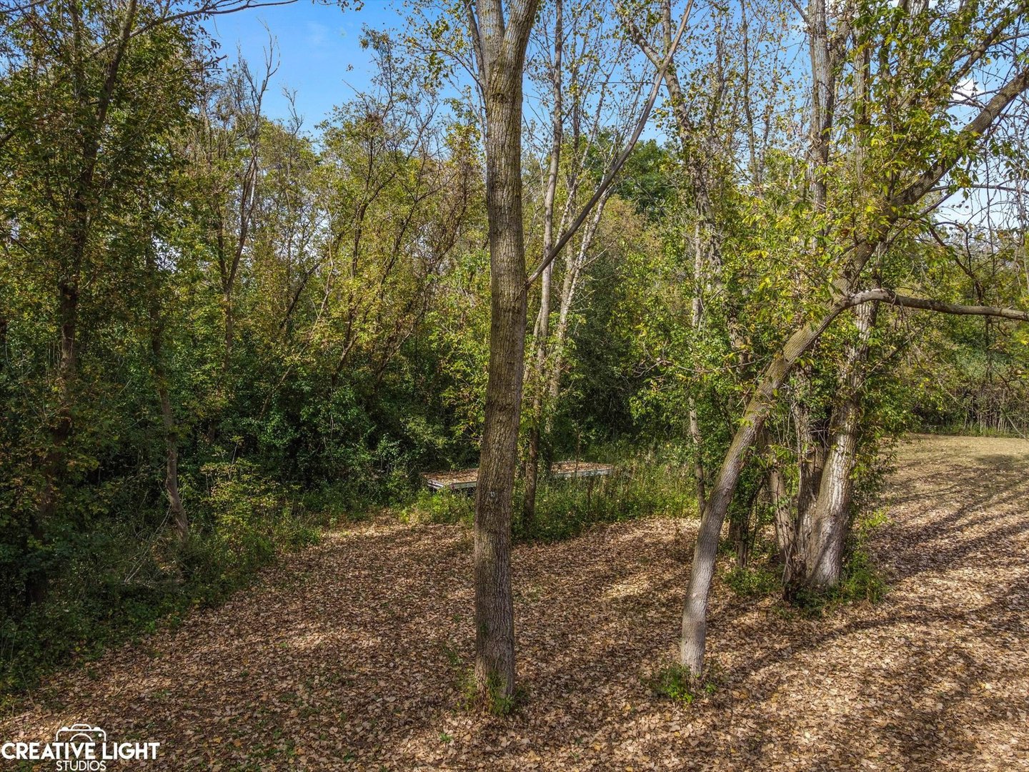 6421 Collier Circle Property Photo 10