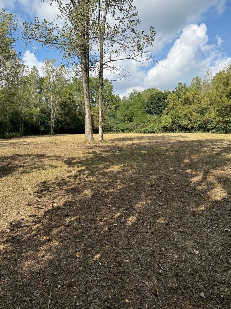 6421 Collier Circle Property Photo 12