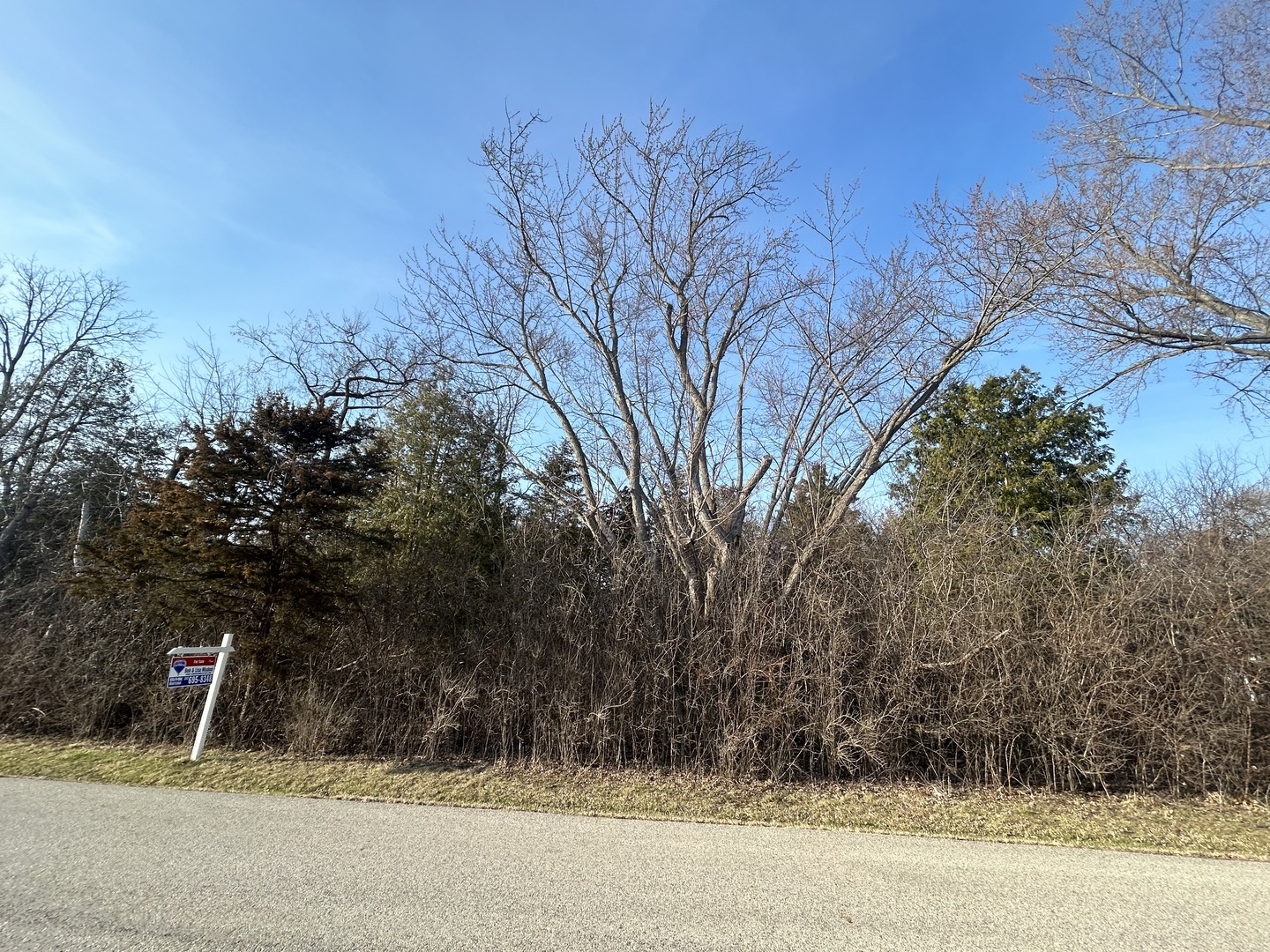 Lot 16 Harding Avenue Property Photo 3