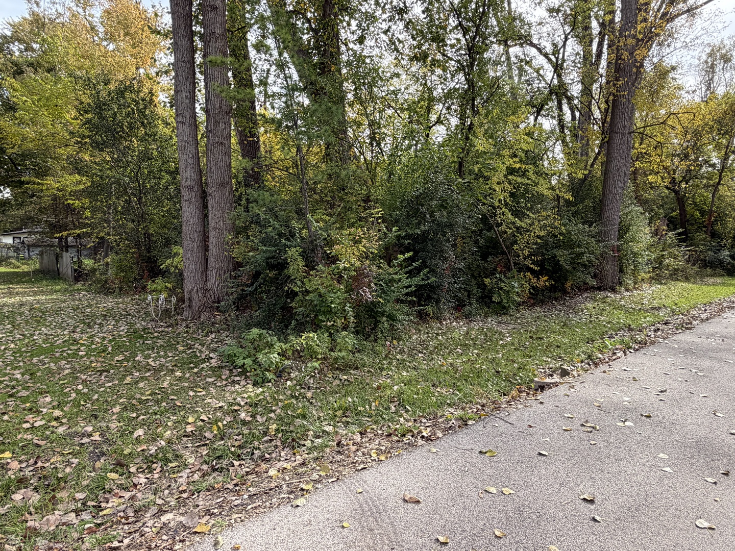 0 S Riverdale Road Property Photo 1