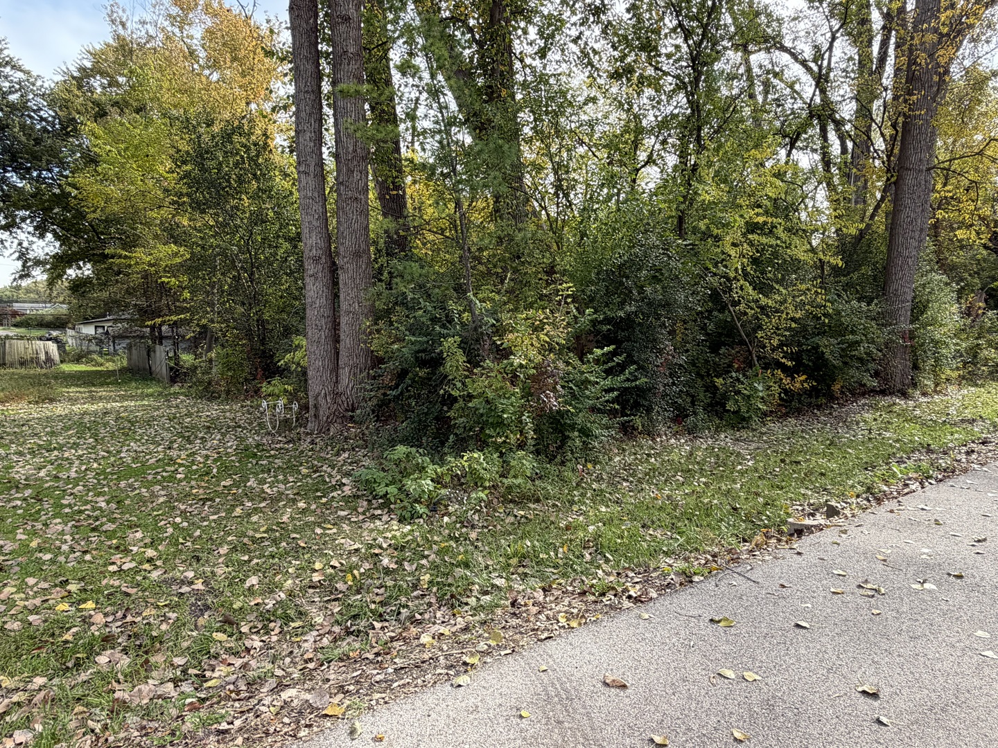0 S Riverdale Road Property Photo 2