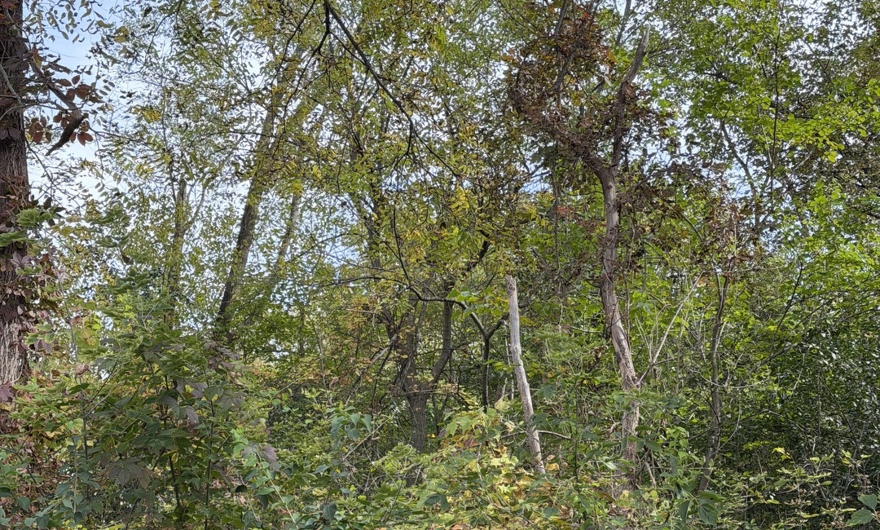 0 S Riverdale Road Property Photo 17