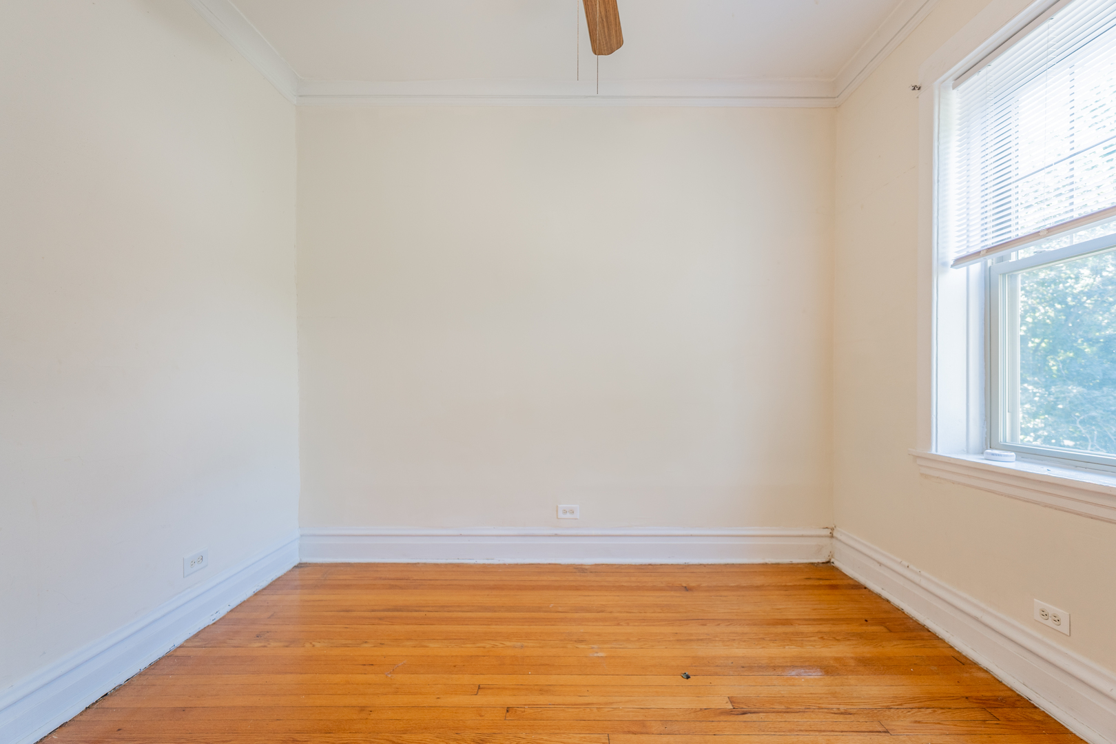 1841 W Touhy Avenue 2 Property Photo 7
