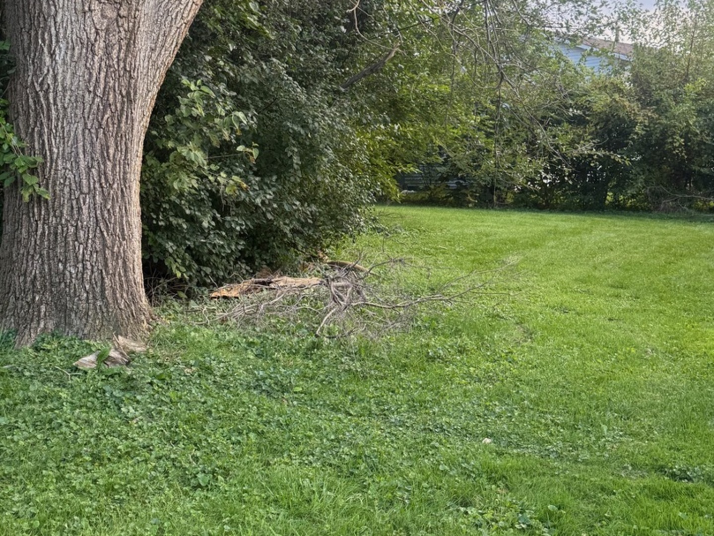 962 Central Avenue Property Photo 16