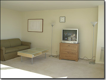 655 W Irving Park Road 4409 Property Photo 4