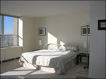 655 W Irving Park Road 4409 Property Photo 14