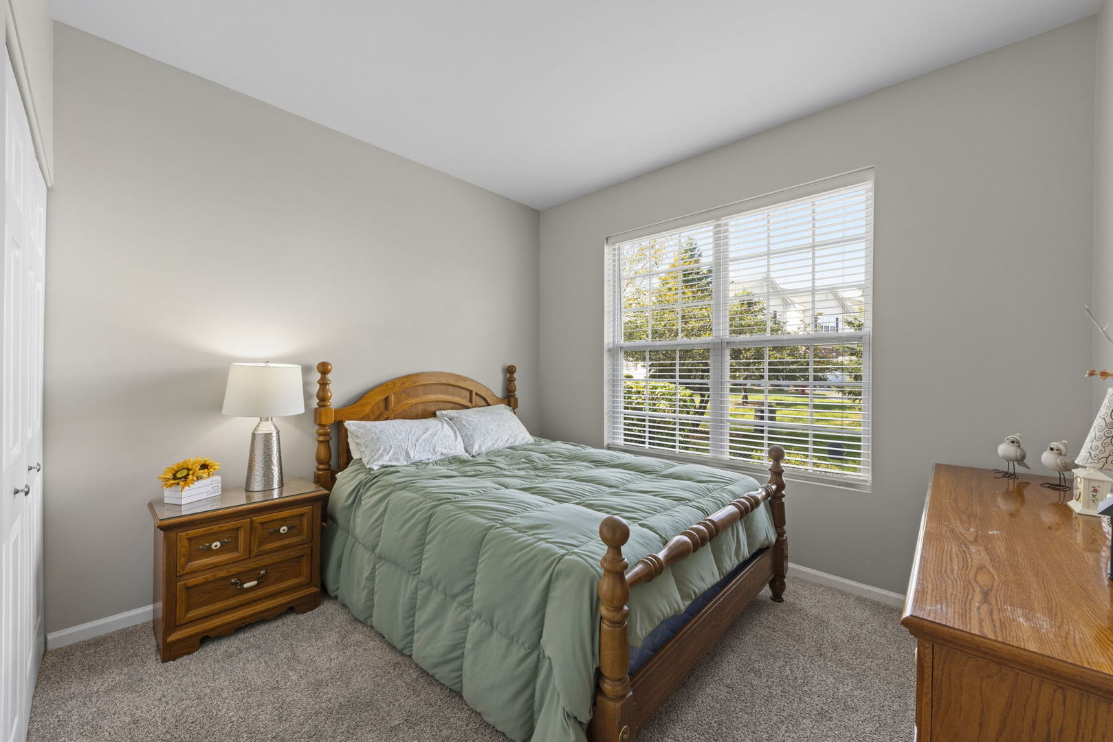 317 Grape Vine Trail Property Photo 9
