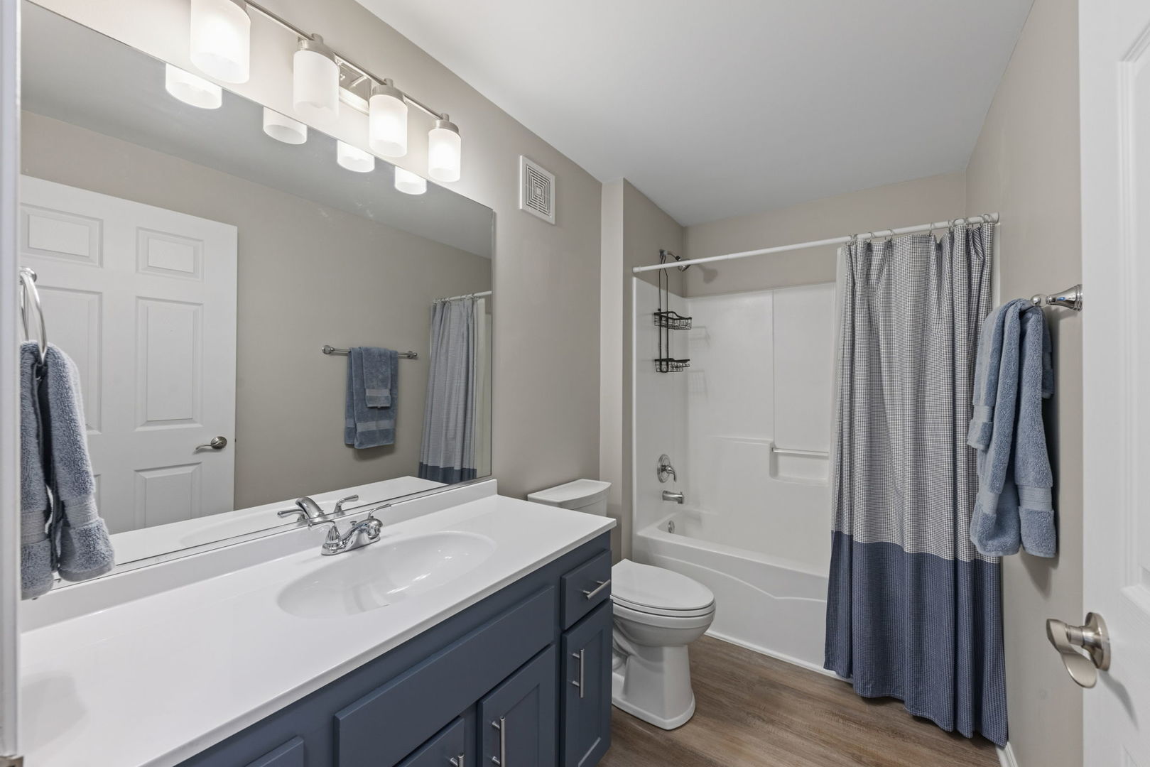 317 Grape Vine Trail Property Photo 10