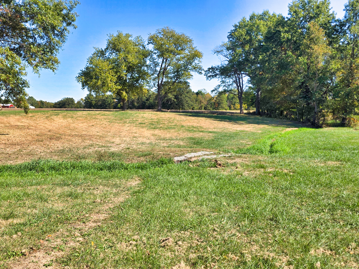 22800 Highway 45 Property Photo 4