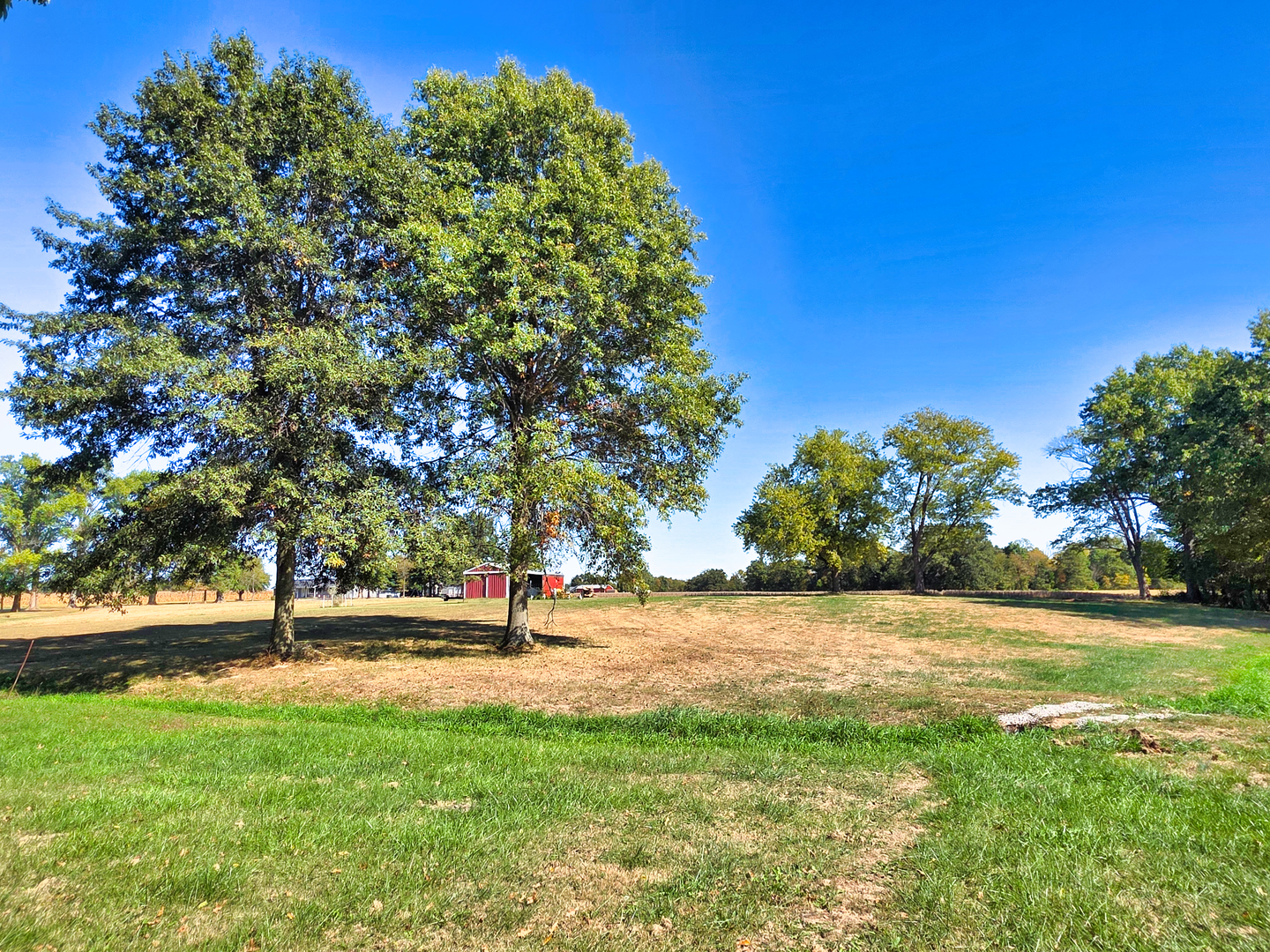 22800 Highway 45 Property Photo 8