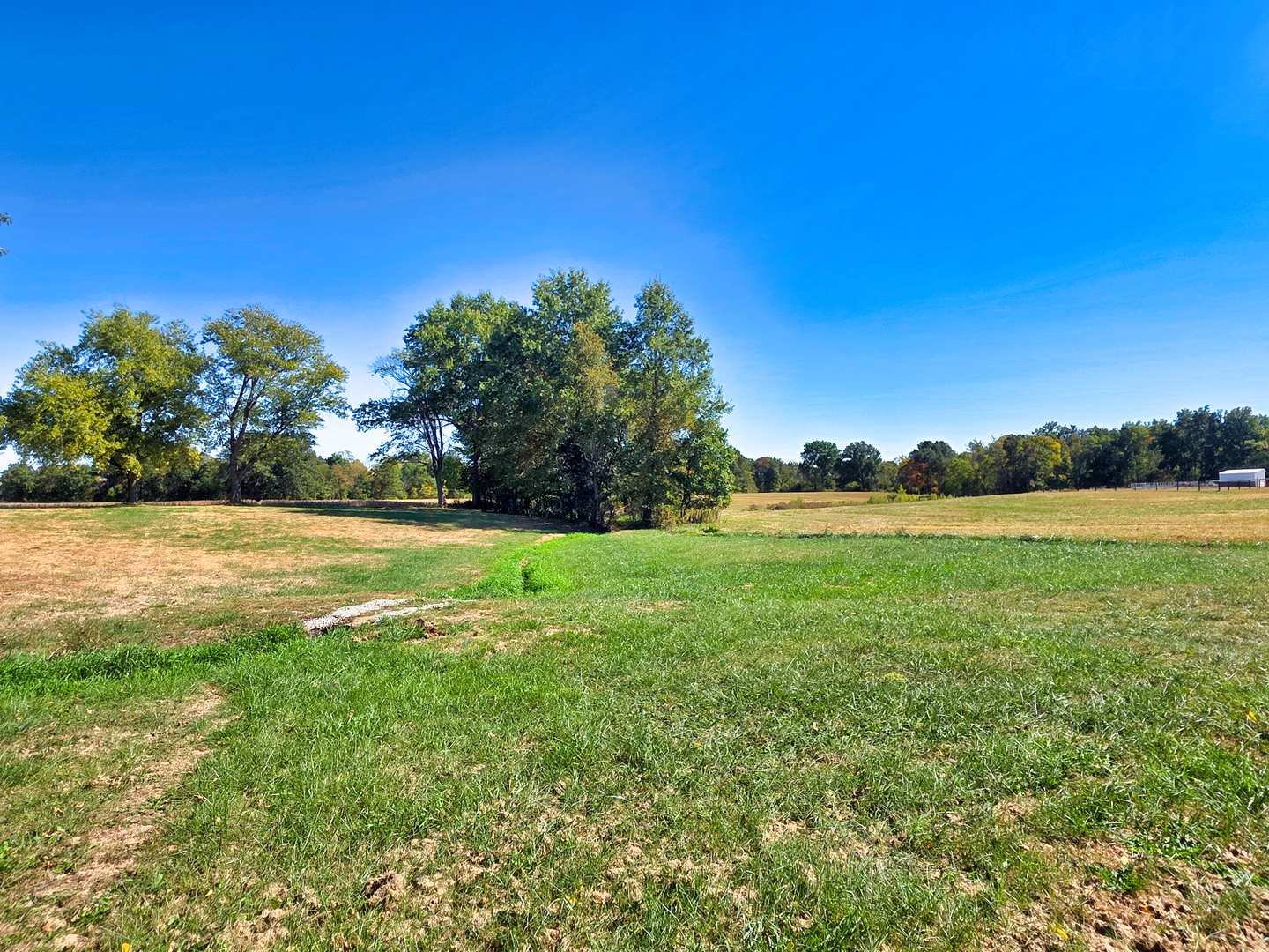 22800 Highway 45 Property Photo 9