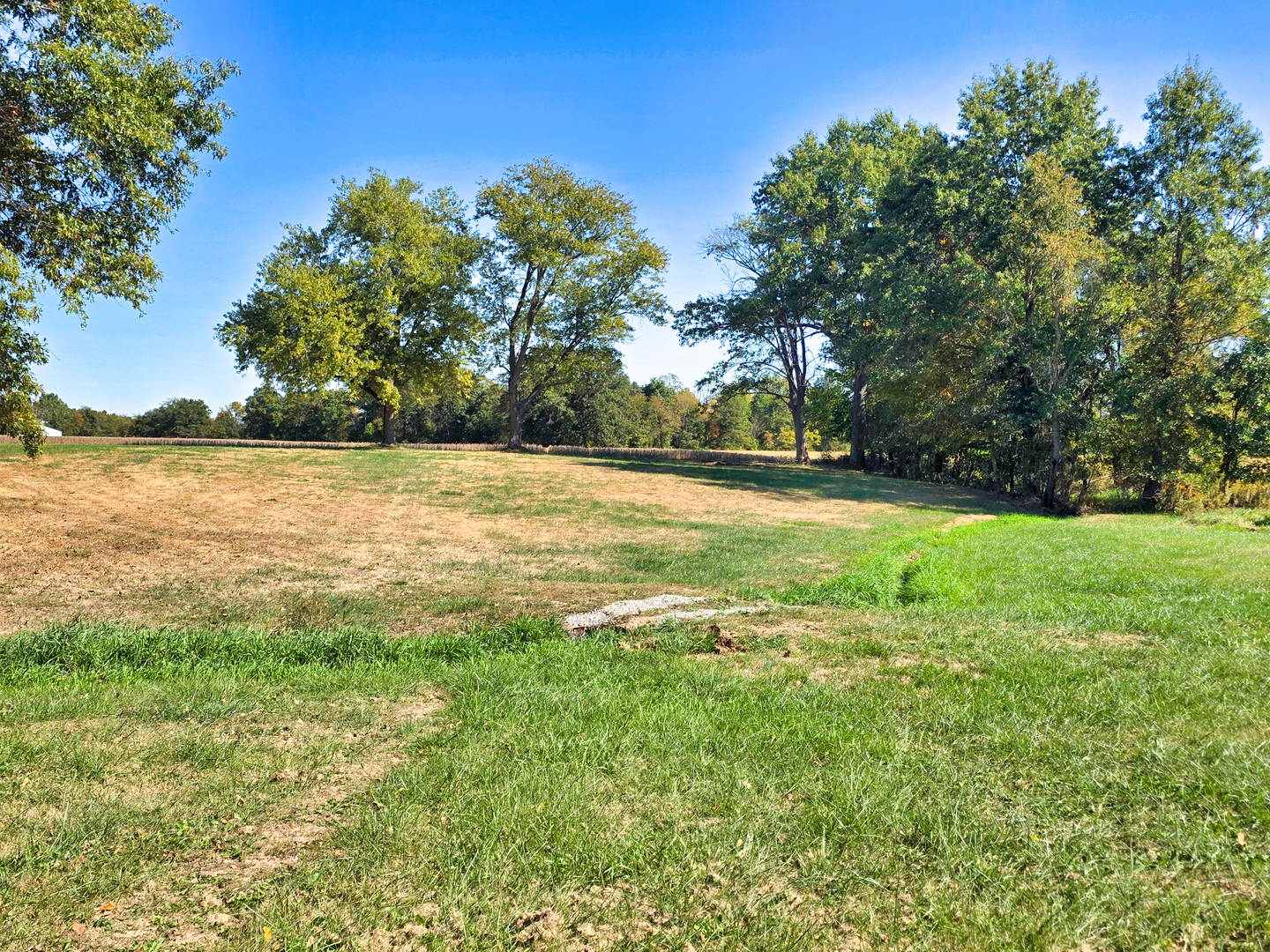 22800 Highway 45 Property Photo 63