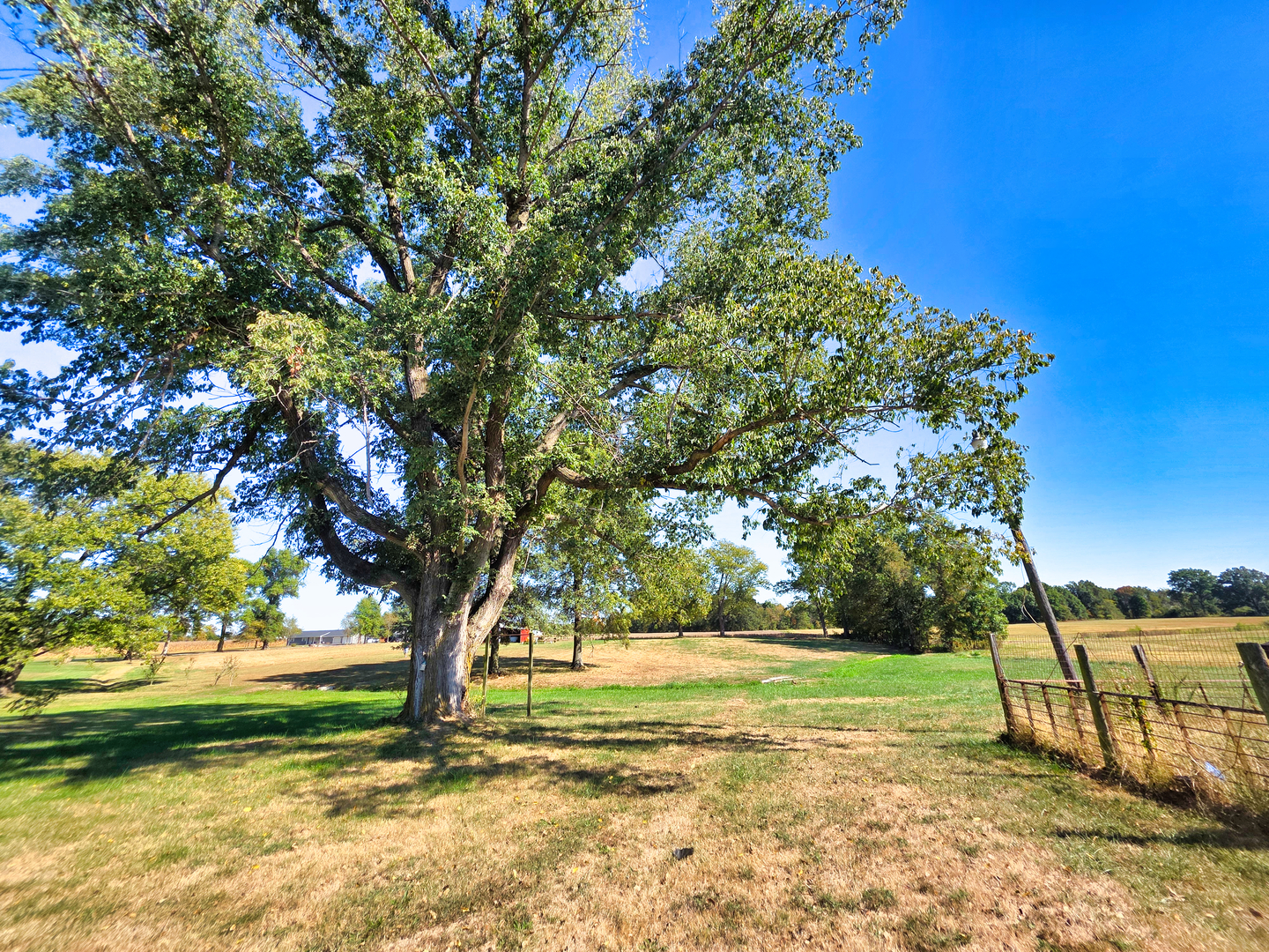 22800 Highway 45 Property Photo 65