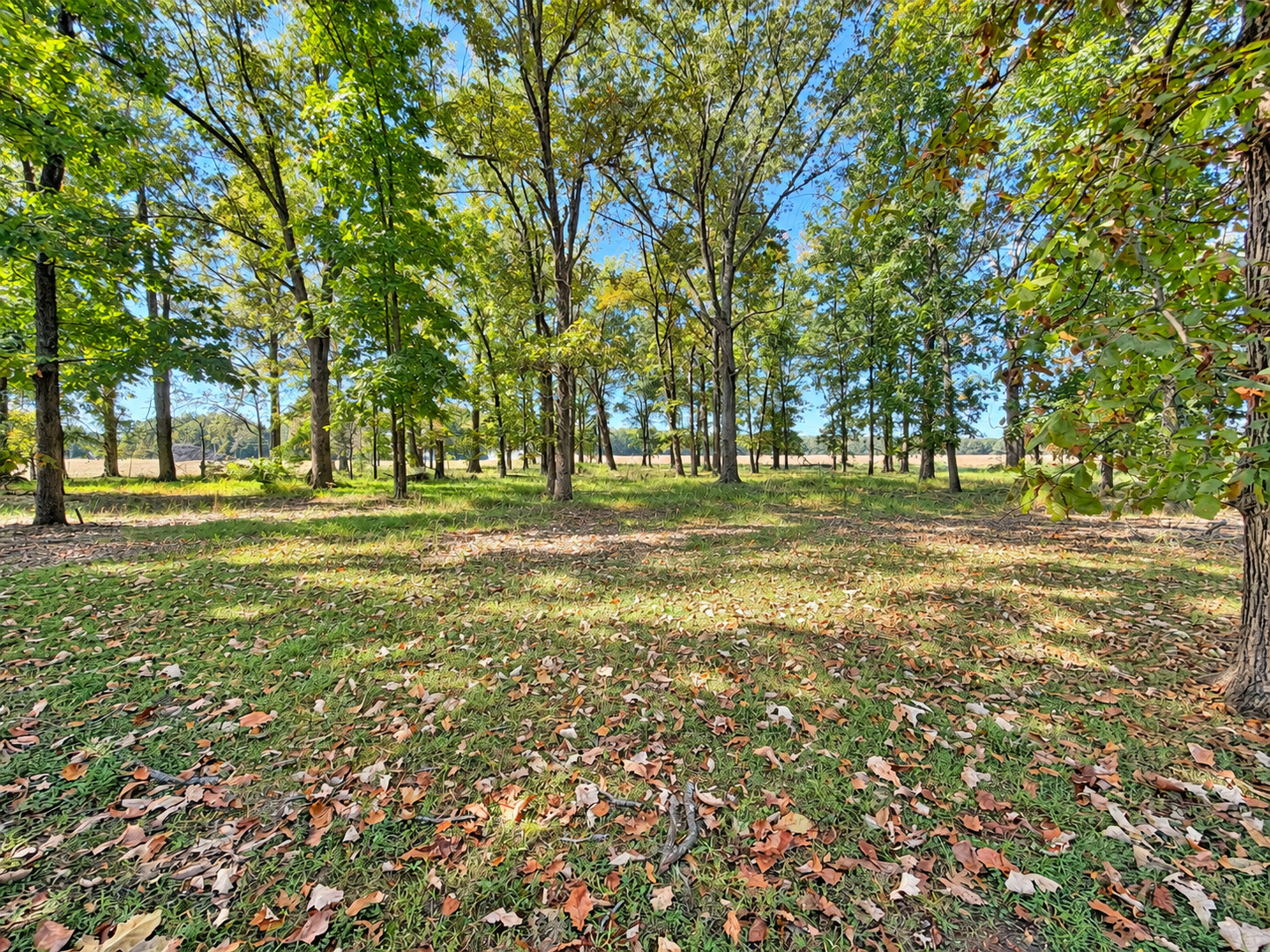 1698 Dornbush Road Property Photo 12