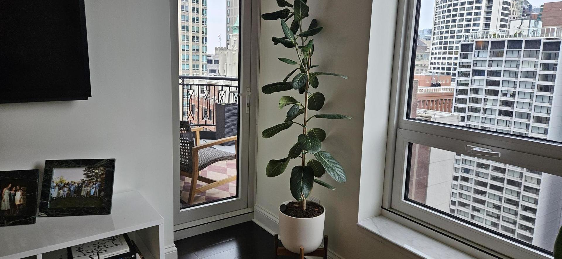 10 E Delaware Place 20c Property Photo 9