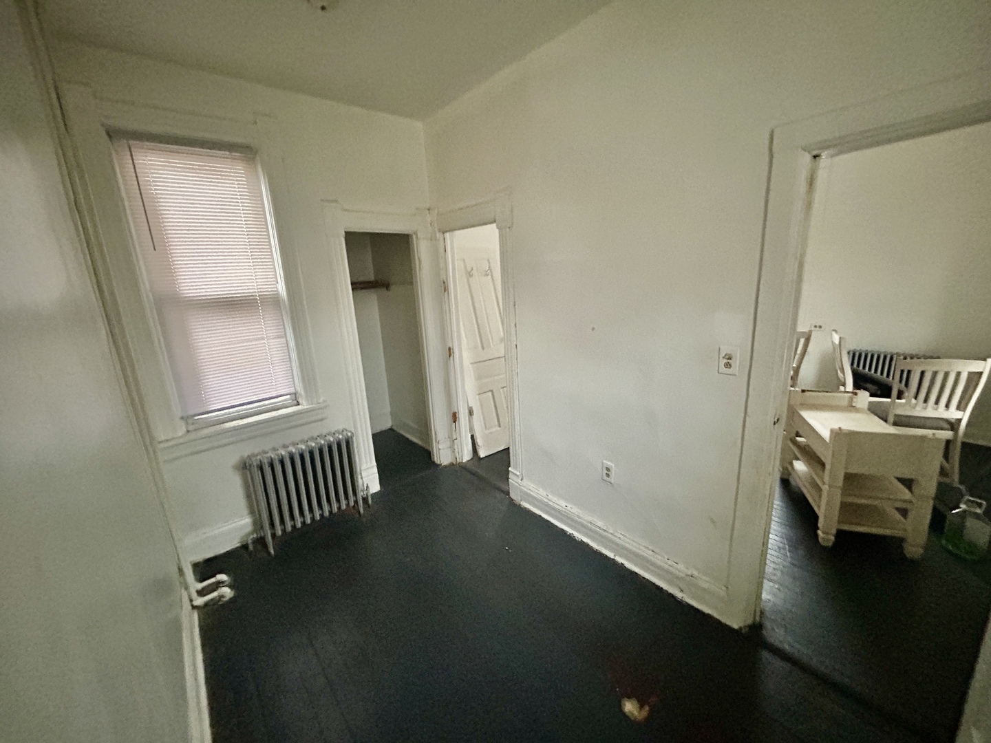 735 E 88th Street Property Photo 19