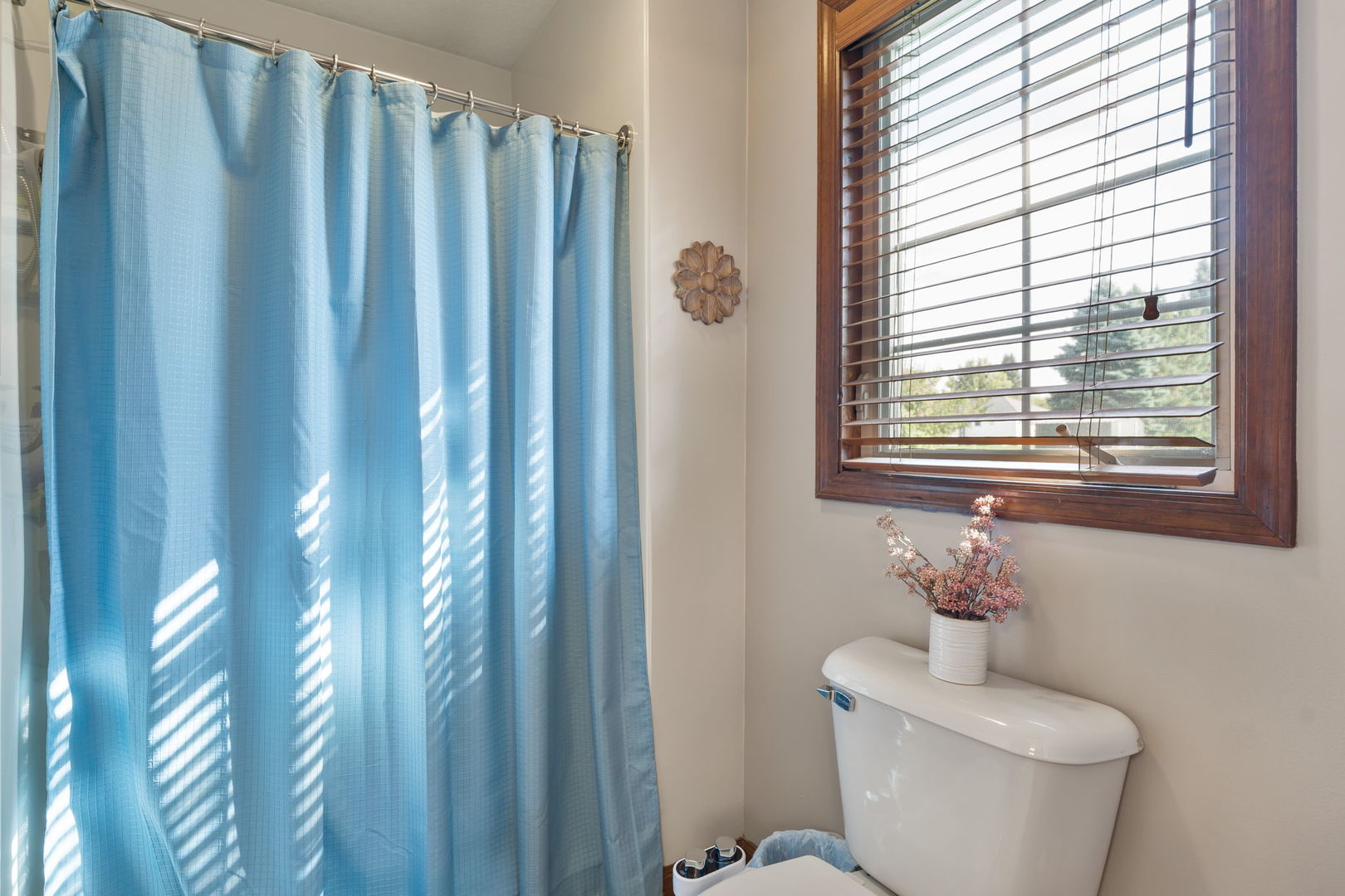17 Dexter Boulevard Property Photo 23