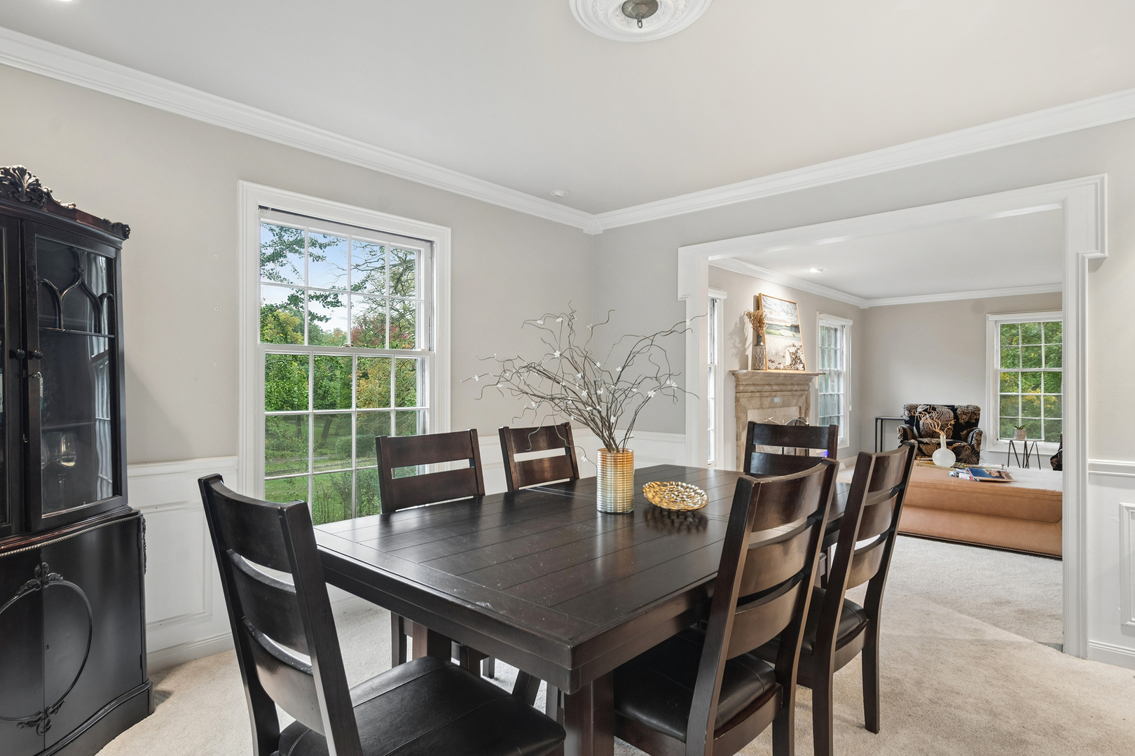 20888 N Buffalo Run Property Photo 9
