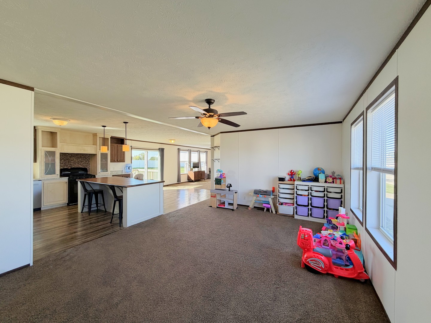 58 St Pauls Drive Property Photo 6