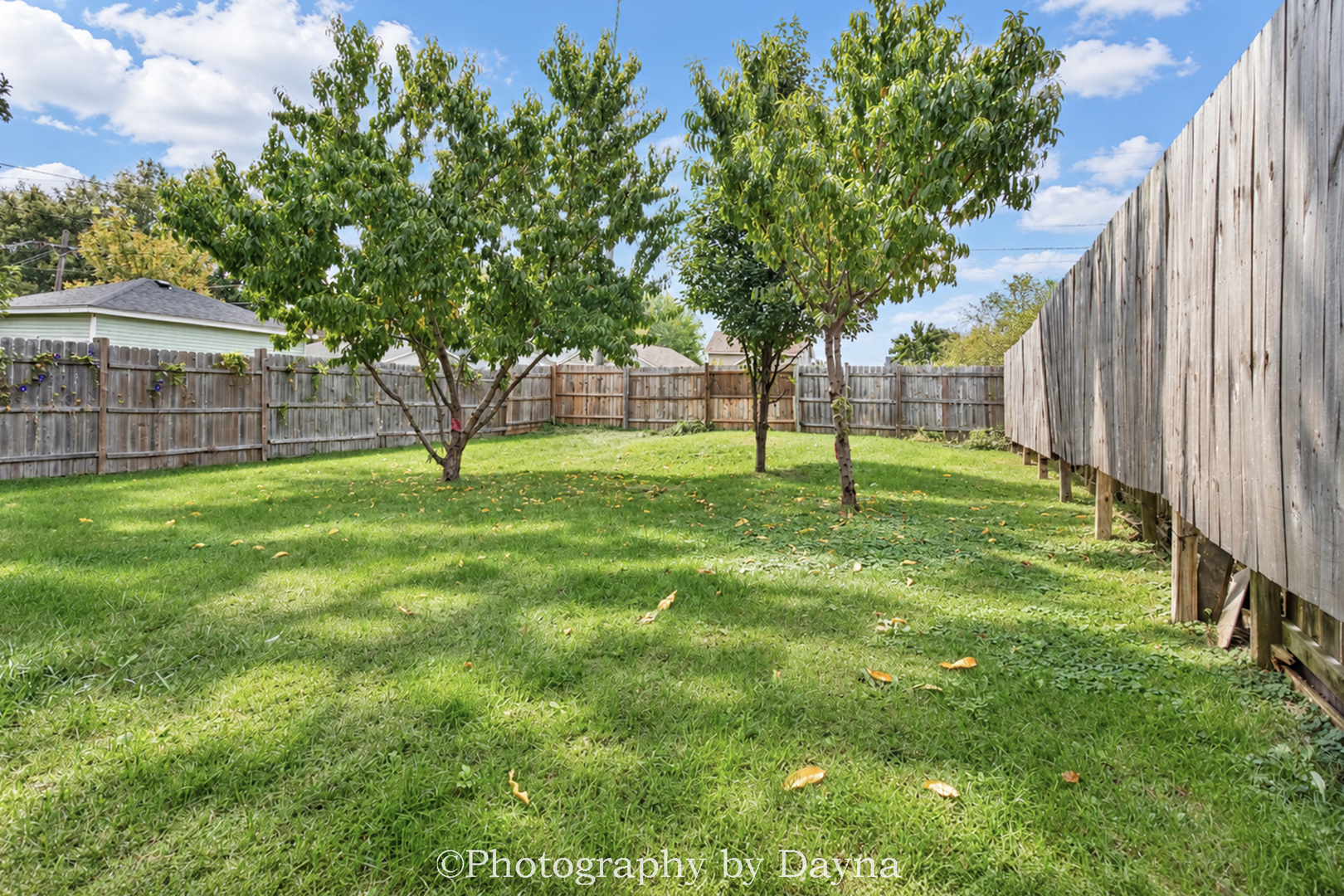 852 S 4th Avenue Property Photo 18