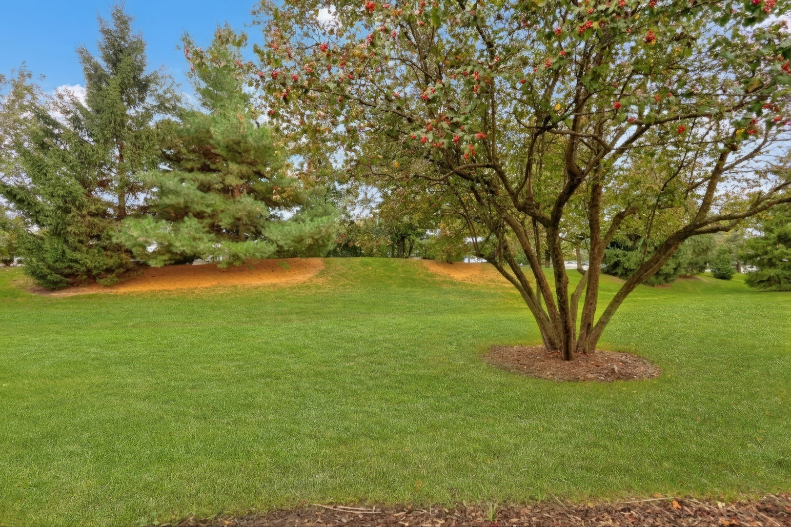 36098 N New Bridge Court Property Photo 24