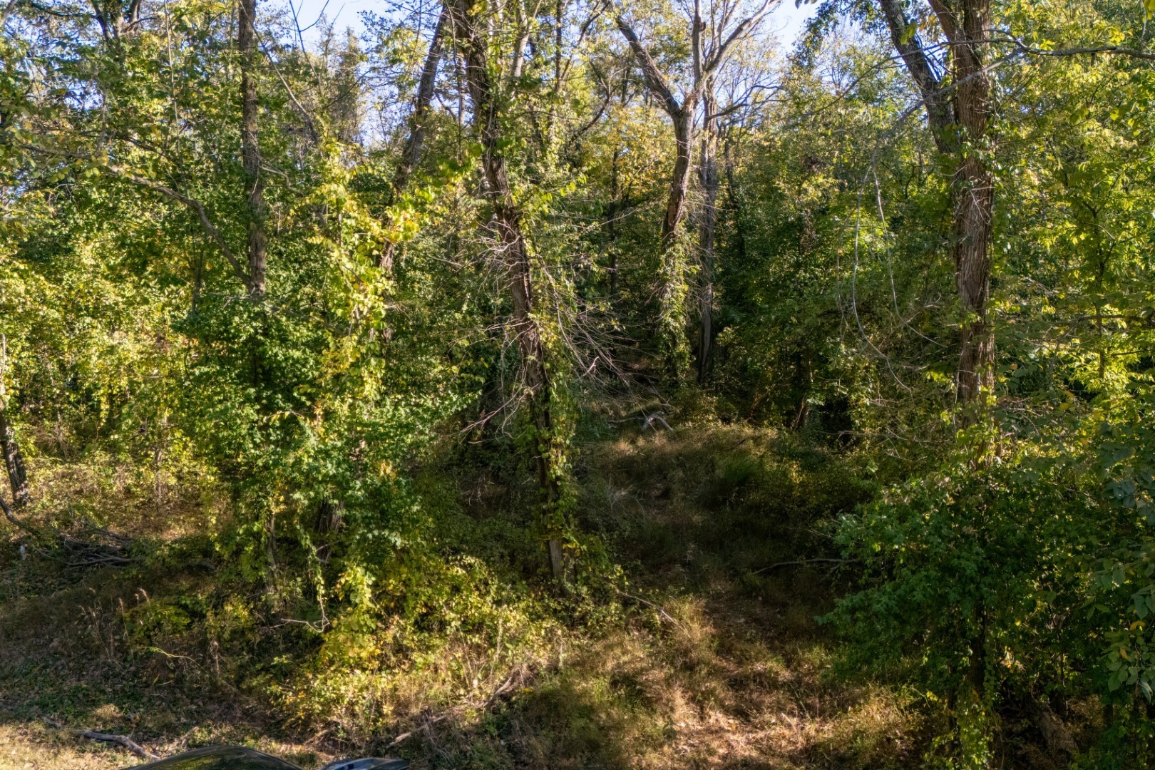 000 Fowler Road Property Photo 8