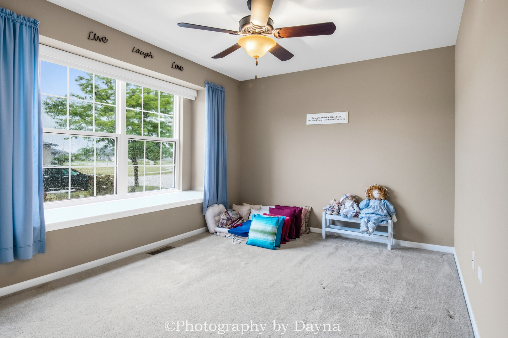 289 White Hawk Way Property Photo 16