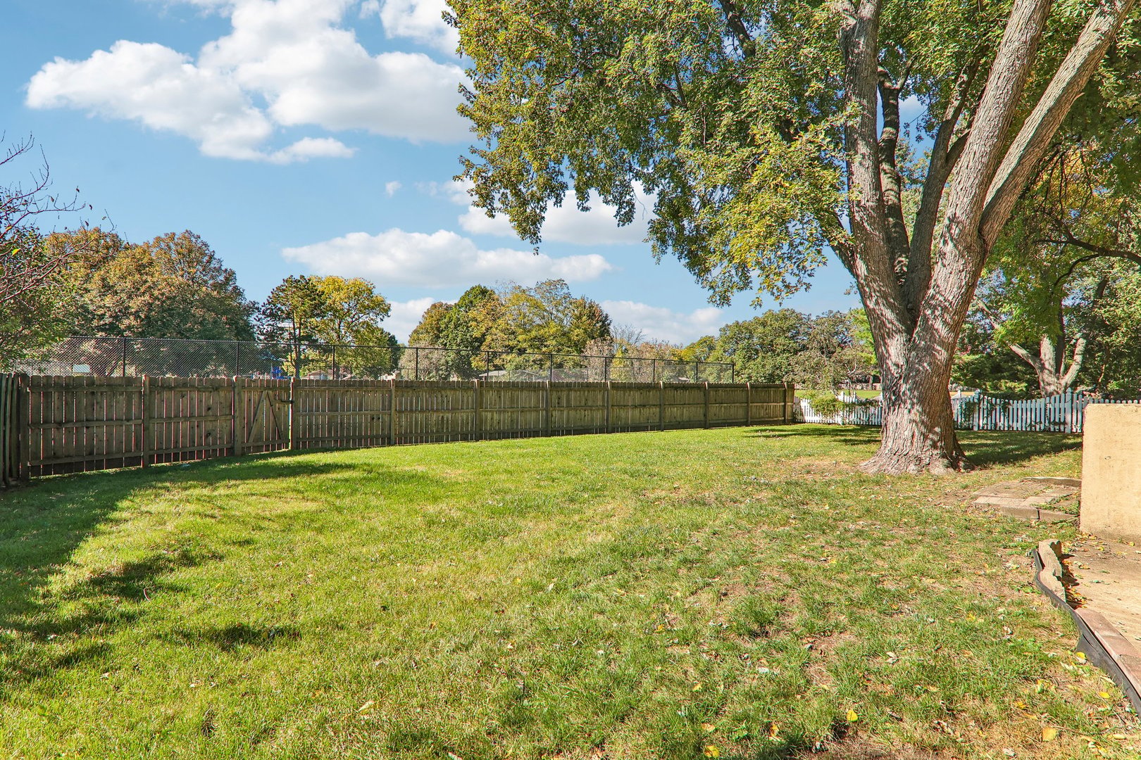 4532 Black Partridge Lane Property Photo 28